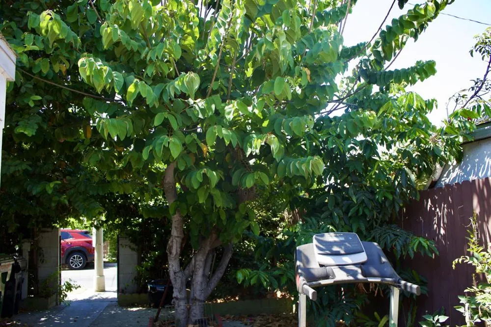 10328 Hickory Street Los Angeles, CA 90002