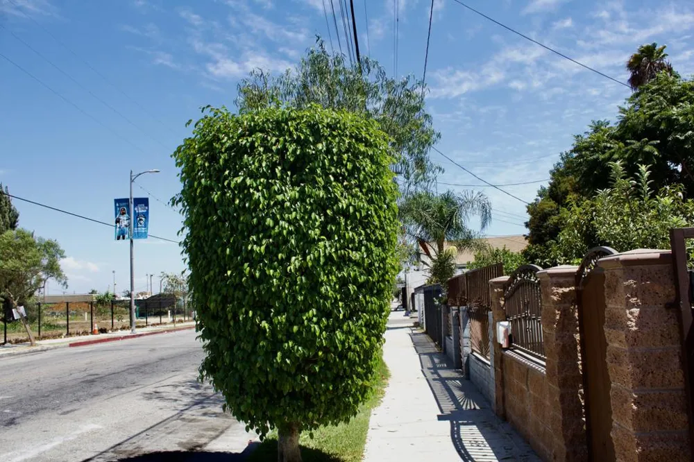 10328 Hickory Street Los Angeles, CA 90002