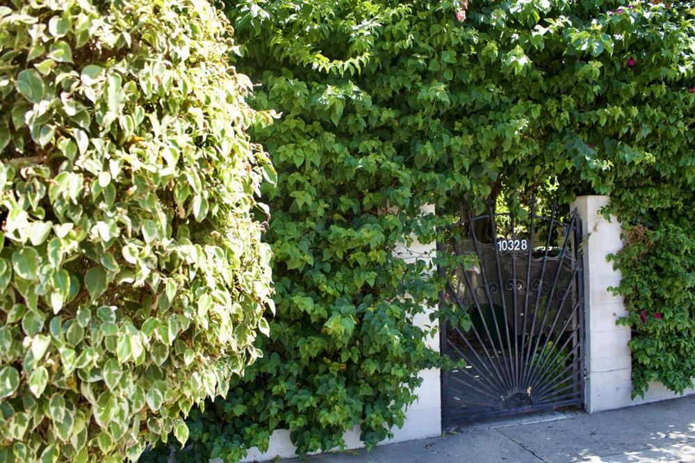 10328 Hickory Street Los Angeles, CA 90002