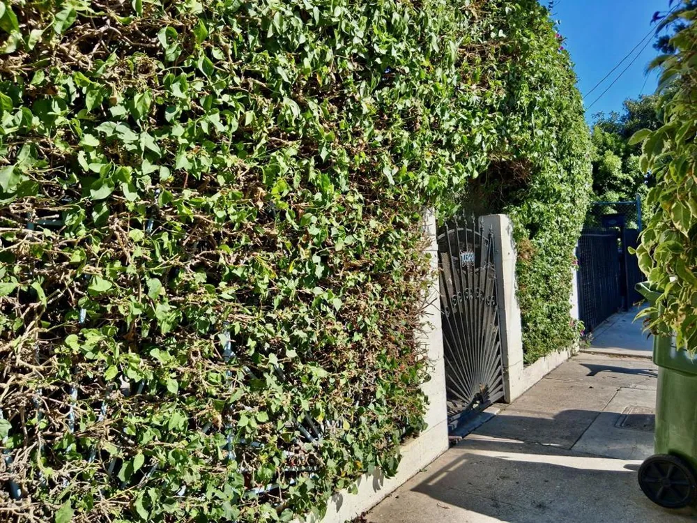 10328 Hickory Street Los Angeles, CA 90002