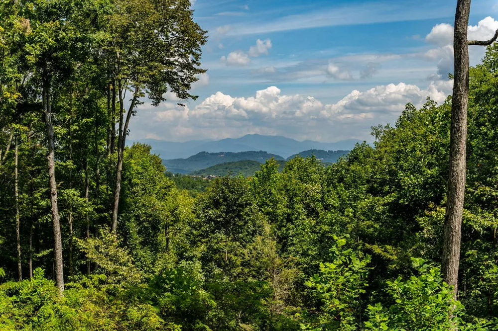 579 Overlook Circle Young Harris, GA 30582