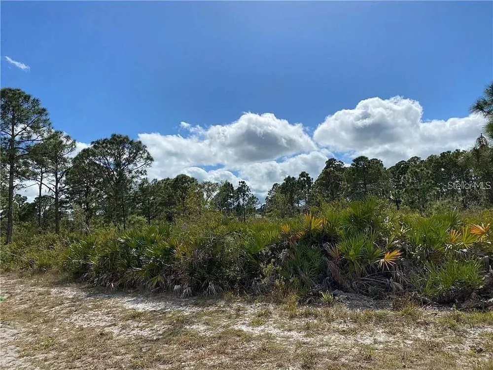 69 COXSWAIN CIRCLE Placida, FL 33946