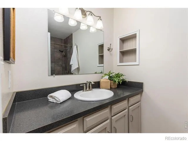 619 Blue Mountain Court Windsor, CO 80550