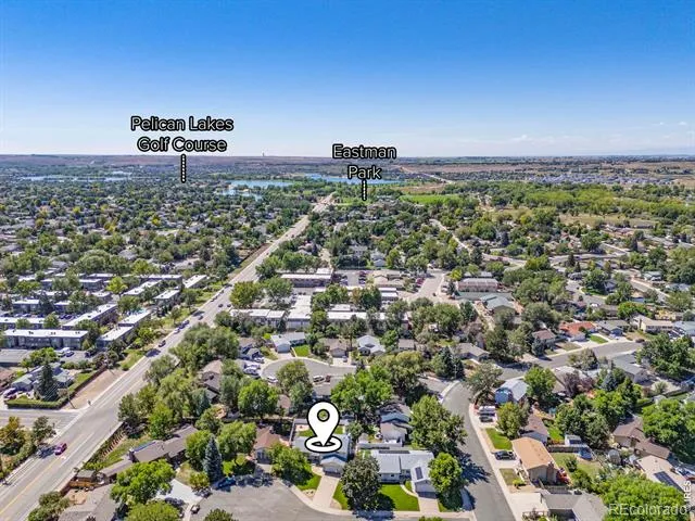 619 Blue Mountain Court Windsor, CO 80550