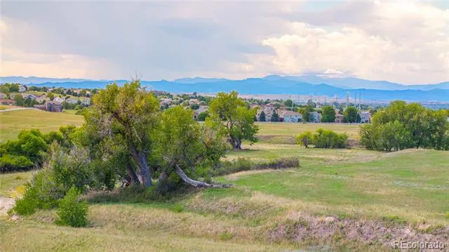 10443 Tomahawk Road Parker, CO 80138