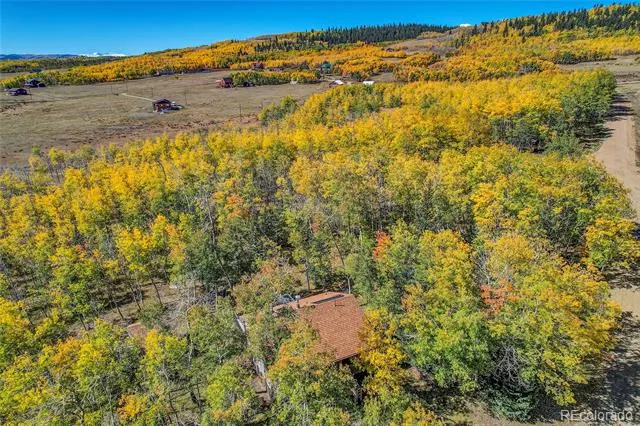 205 Ohler Court Jefferson, CO 80456