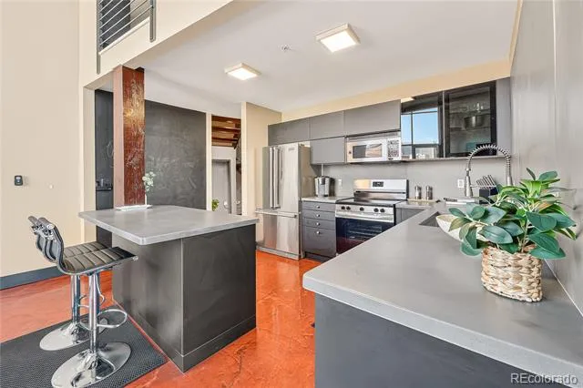 1050 Cherokee Street #301 Denver, CO 80204