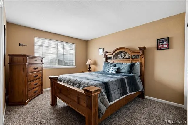 6977 Chestnut Court Parker, CO 80134