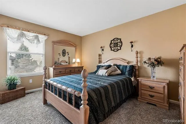 6977 Chestnut Court Parker, CO 80134