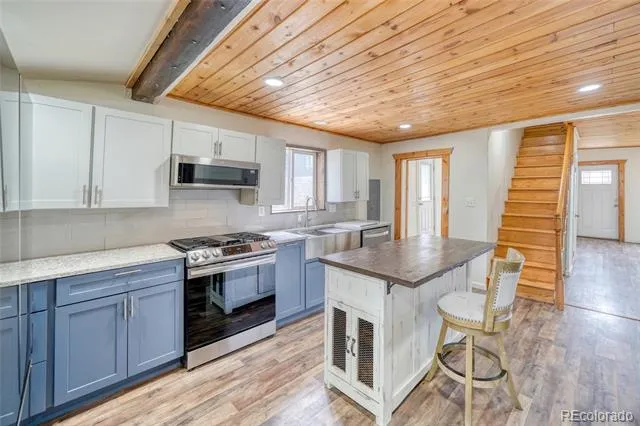 316 E 3rd Street Leadville, CO 80461