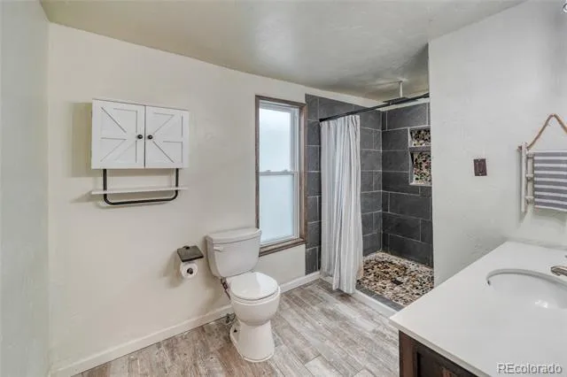 316 E 3rd Street Leadville, CO 80461