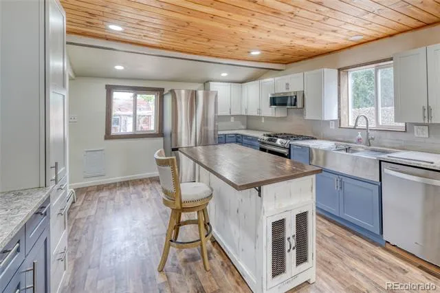 316 E 3rd Street Leadville, CO 80461