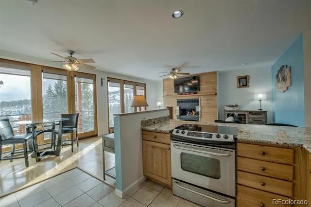 91500 Ryan Gulch Road #91511 Silverthorne, CO 80498