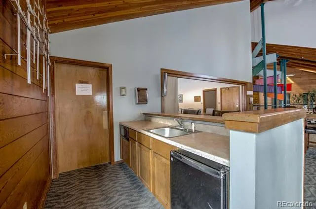 91500 Ryan Gulch Road #91511 Silverthorne, CO 80498