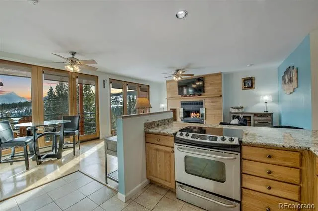91500 Ryan Gulch Road #91511 Silverthorne, CO 80498