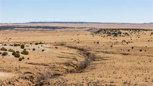 731 County 121 Road Walsenburg, CO 81089