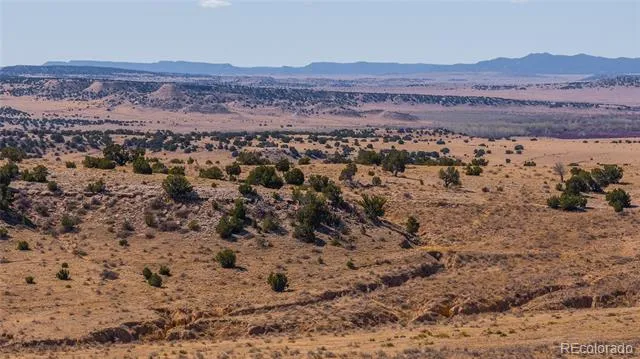 731 County 121 Road Walsenburg, CO 81089