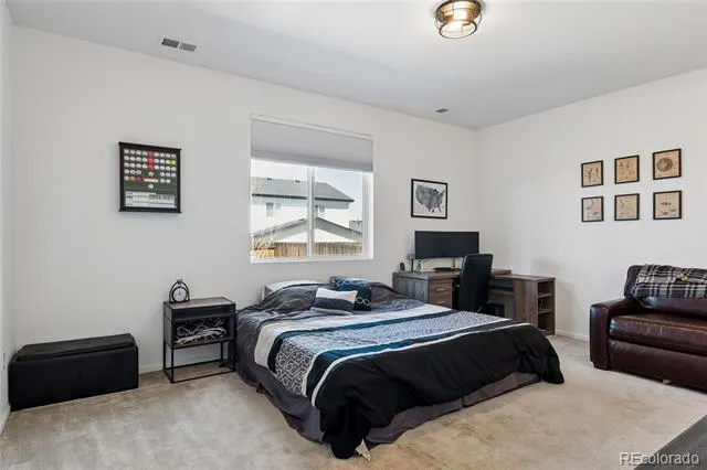284 Vista Cliff Circle Castle Rock, CO 80104