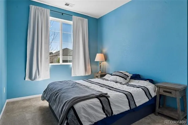 284 Vista Cliff Circle Castle Rock, CO 80104