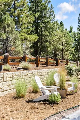 7008 Homeplace Point Castle Rock, CO 80108