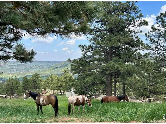 1893 Colard Lane Lyons, CO 80540