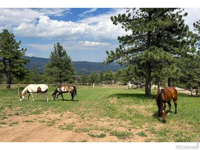 1893 Colard Lane Lyons, CO 80540