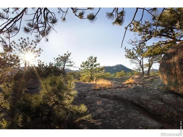 1893 Colard Lane Lyons, CO 80540