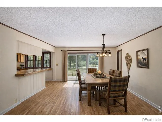 1141 Wallace Lane Estes Park, CO 80517