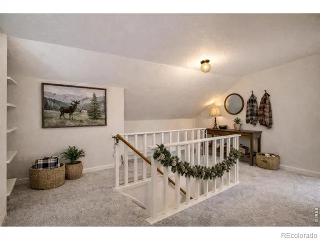 1141 Wallace Lane Estes Park, CO 80517