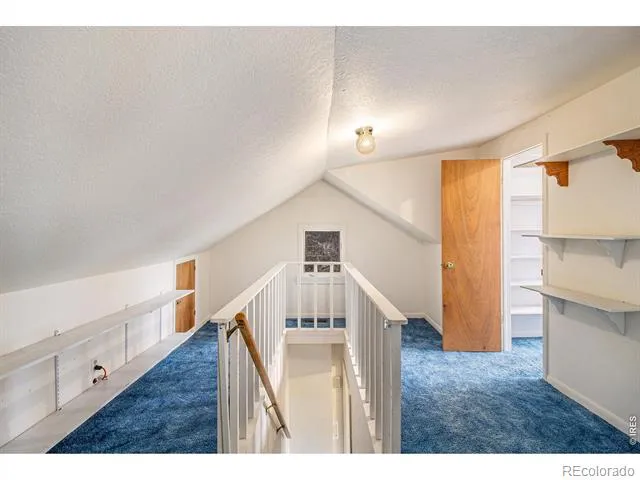 1141 Wallace Lane Estes Park, CO 80517
