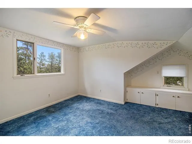 1141 Wallace Lane Estes Park, CO 80517