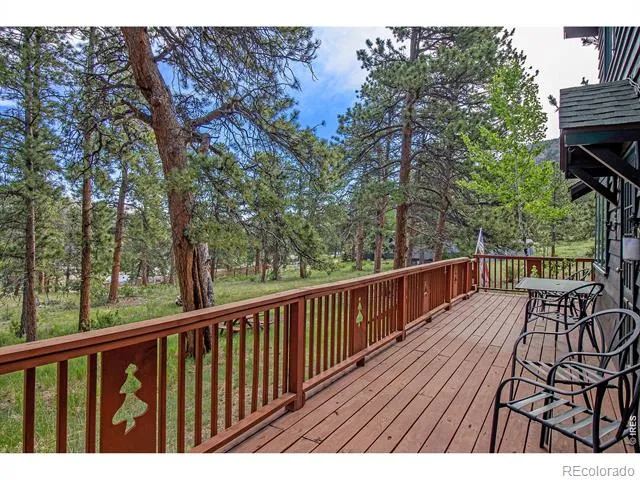 1141 Wallace Lane Estes Park, CO 80517