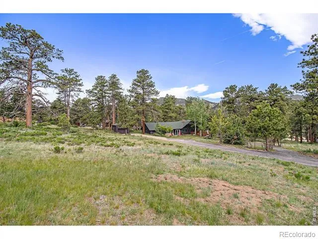 1141 Wallace Lane Estes Park, CO 80517