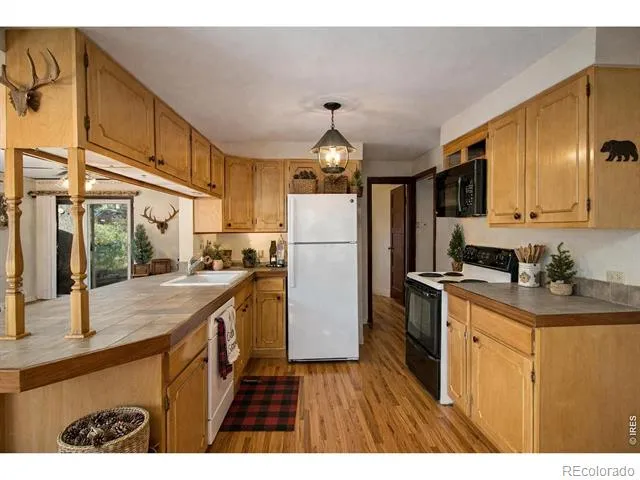 1141 Wallace Lane Estes Park, CO 80517