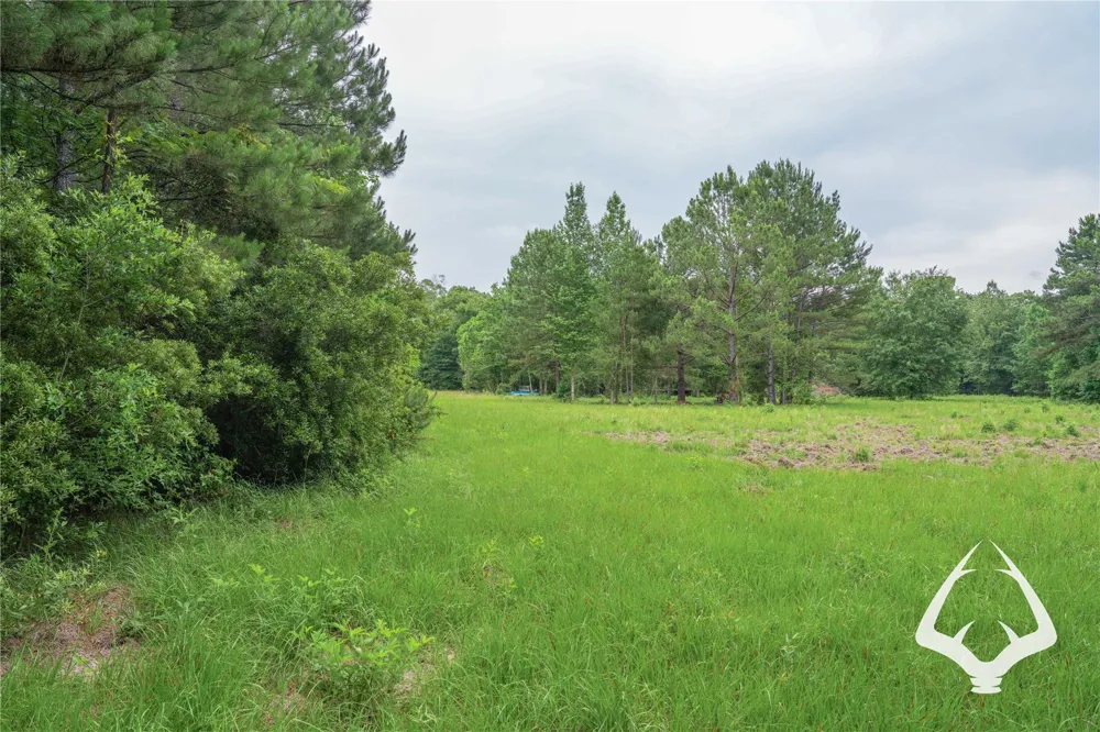 00 Recreational Road 255 Colmesneil, TX 75938