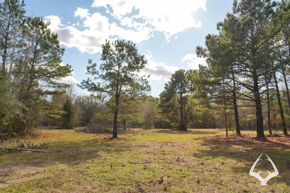 00 Recreational Road 255 Colmesneil, TX 75938