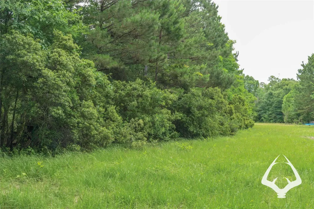 00 Recreational Road 255 Colmesneil, TX 75938