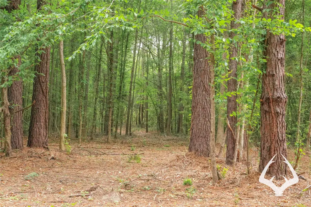 00 Recreational Road 255 Colmesneil, TX 75938
