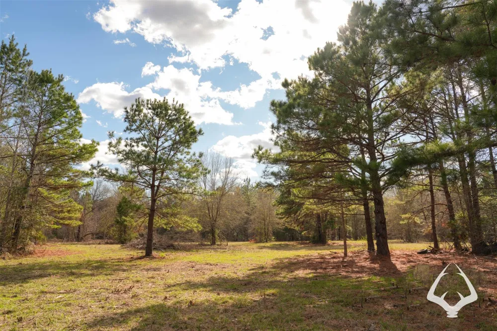 00 Recreational Road 255 Colmesneil, TX 75938