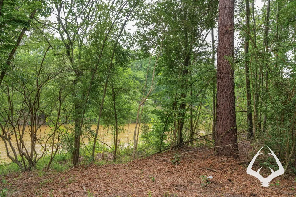 00 Recreational Road 255 Colmesneil, TX 75938