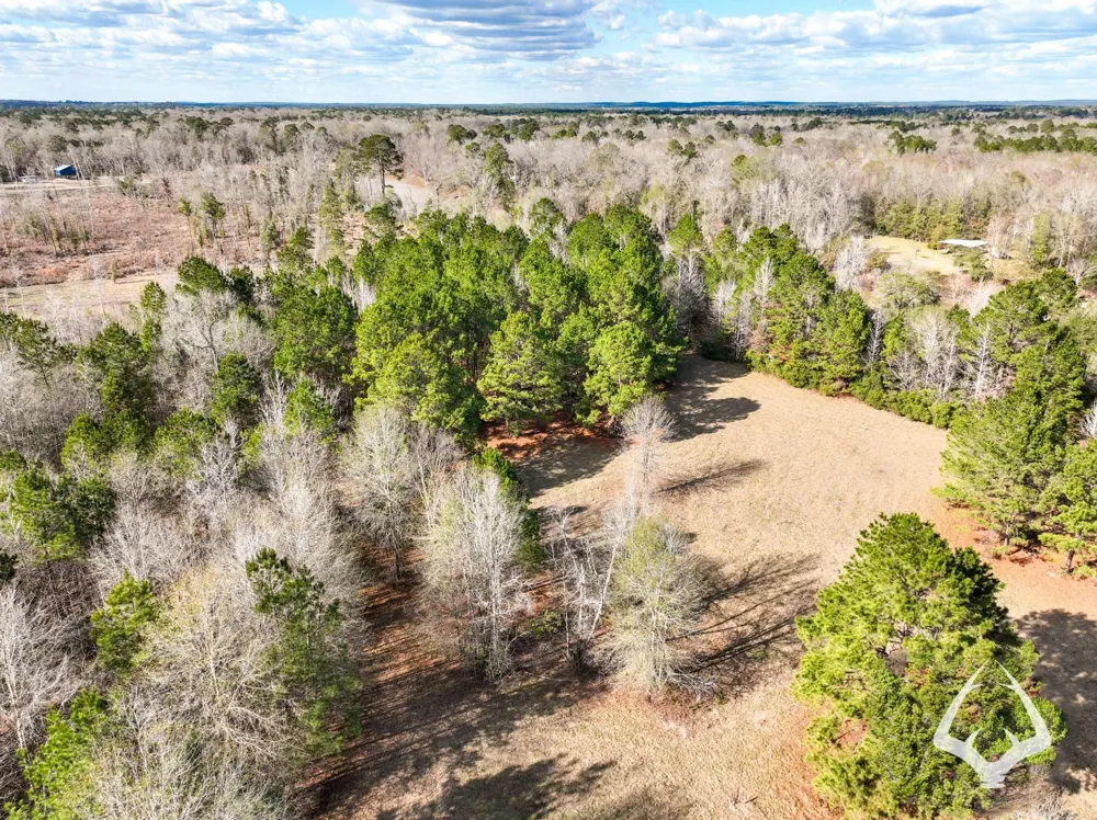 00 Recreational Road 255 Colmesneil, TX 75938