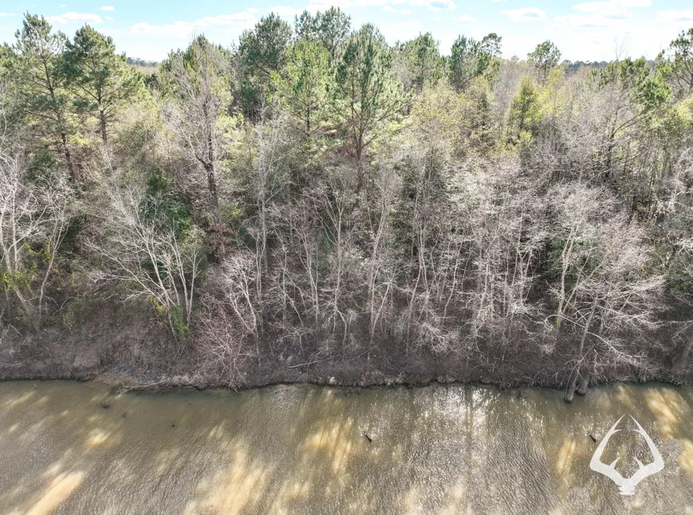 00 Recreational Road 255 Colmesneil, TX 75938