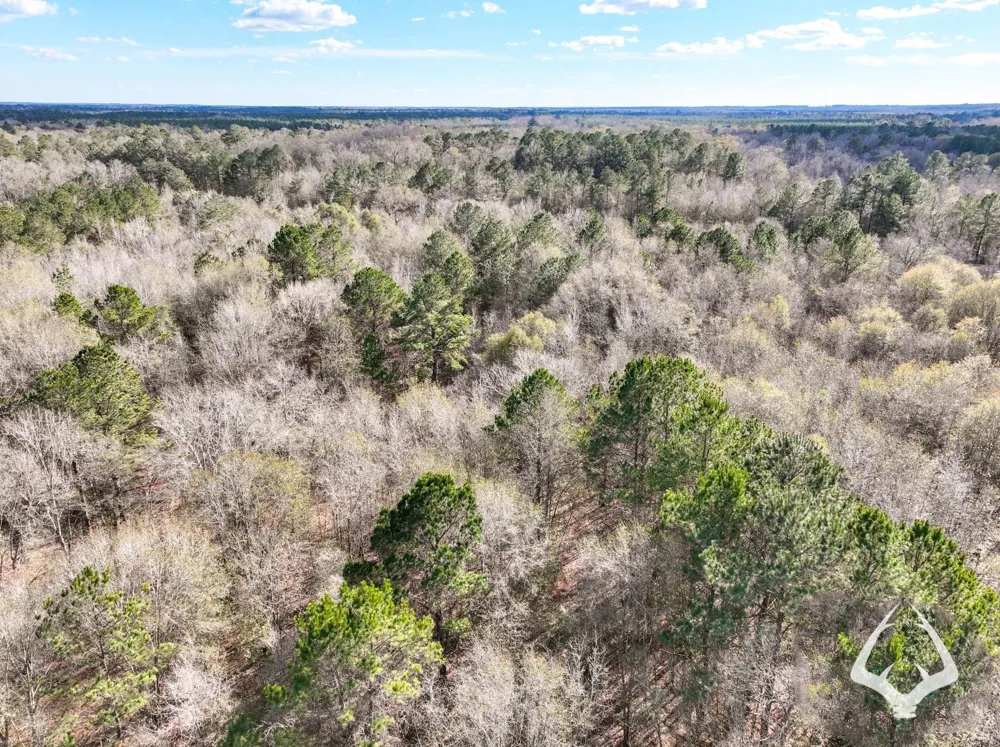 00 Recreational Road 255 Colmesneil, TX 75938
