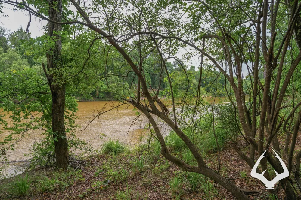 00 Recreational Road 255 Colmesneil, TX 75938
