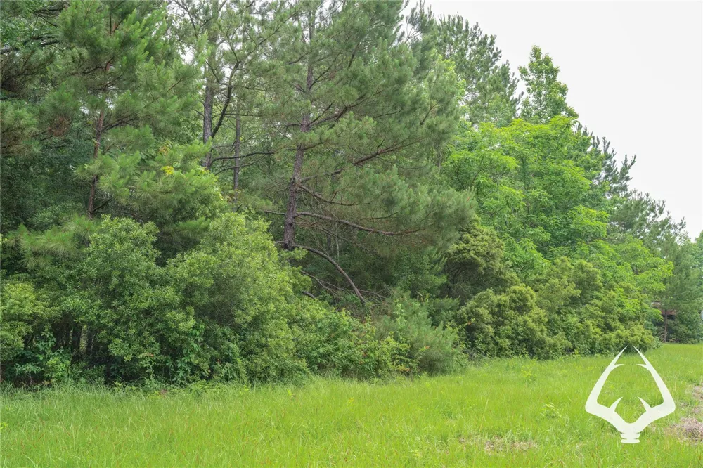 00 Recreational Road 255 Colmesneil, TX 75938