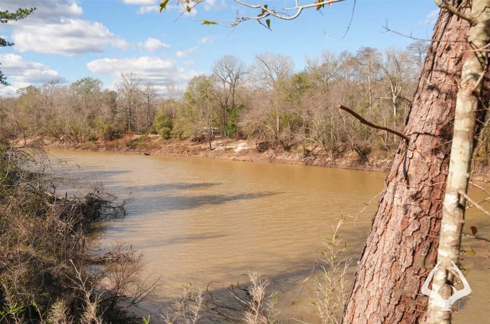 00 Recreational Road 255 Colmesneil, TX 75938