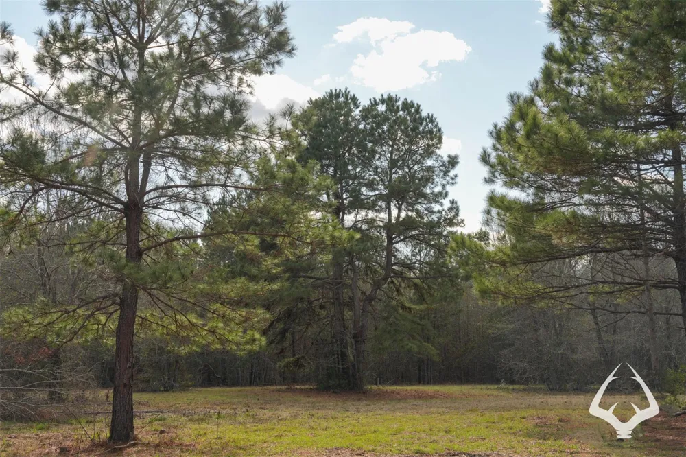 00 Recreational Road 255 Colmesneil, TX 75938