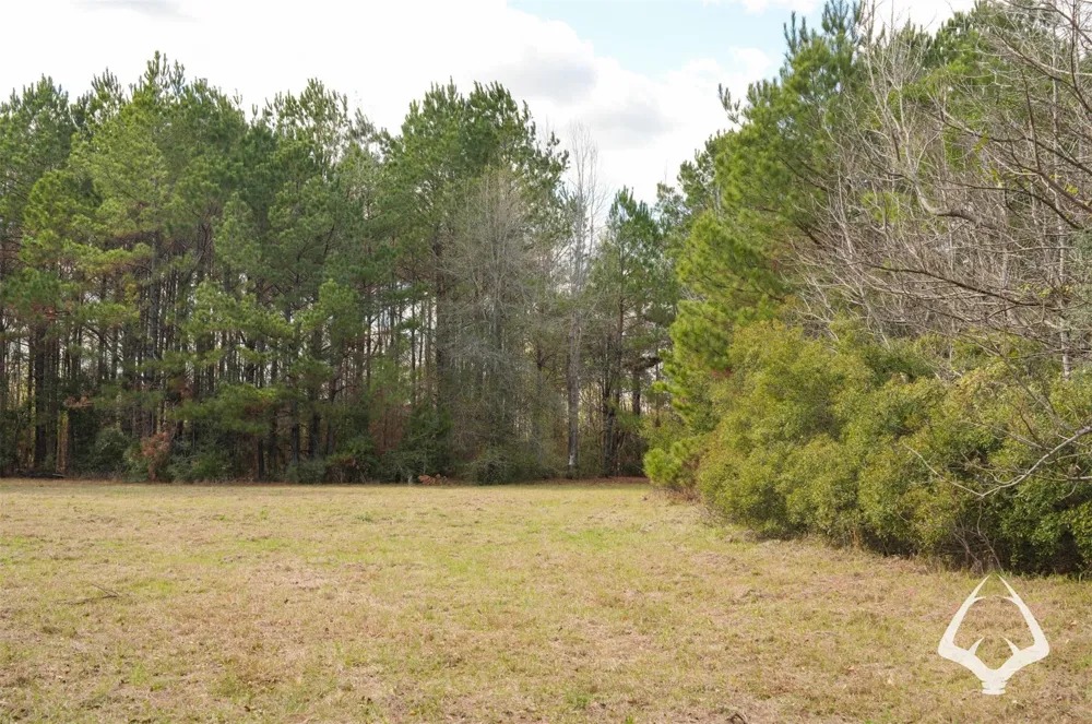 00 Recreational Road 255 Colmesneil, TX 75938