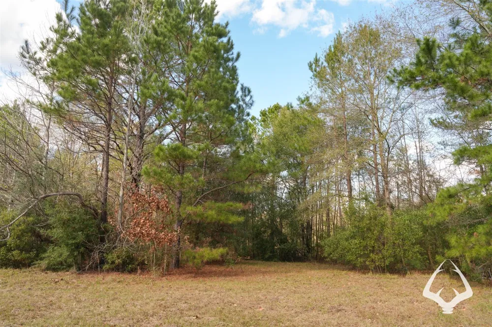 00 Recreational Road 255 Colmesneil, TX 75938