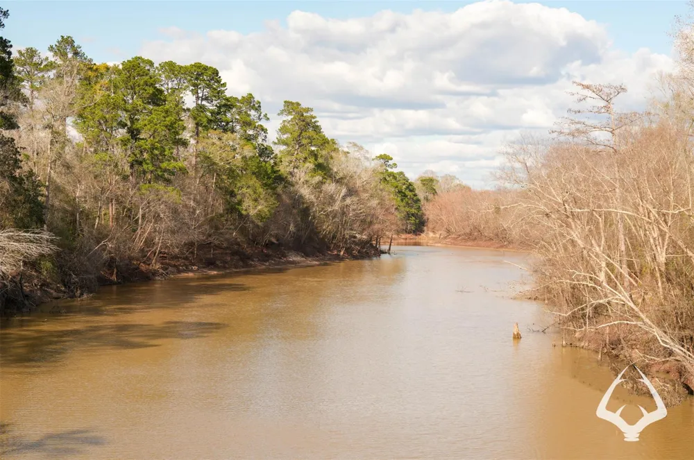 00 Recreational Road 255 Colmesneil, TX 75938